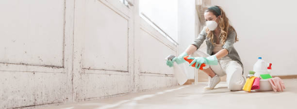 Asbestos and Lead Testing During Mold Inspection